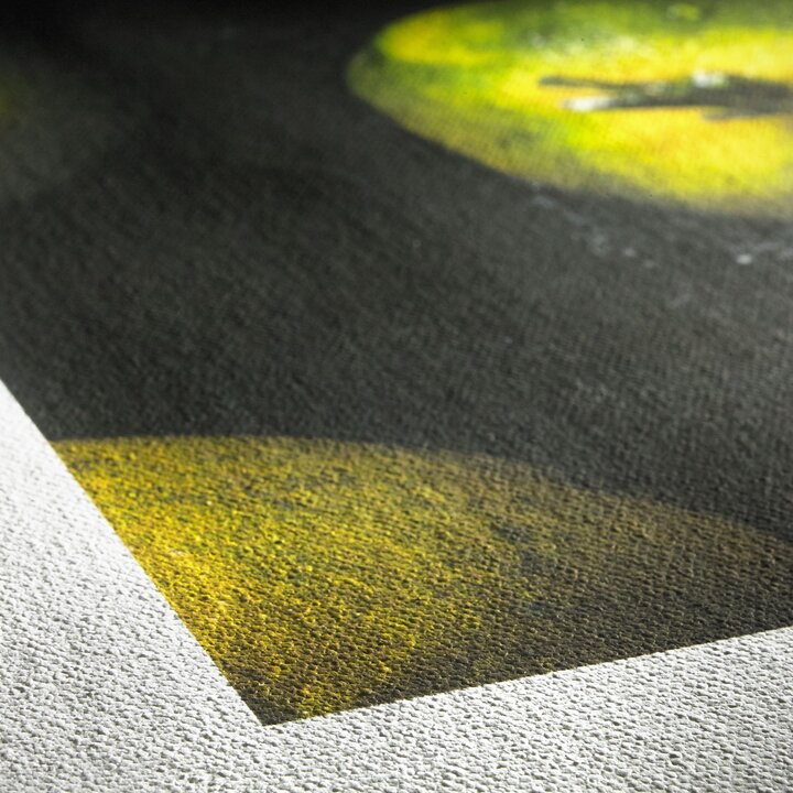 Hahnemühle Canvas Artist 